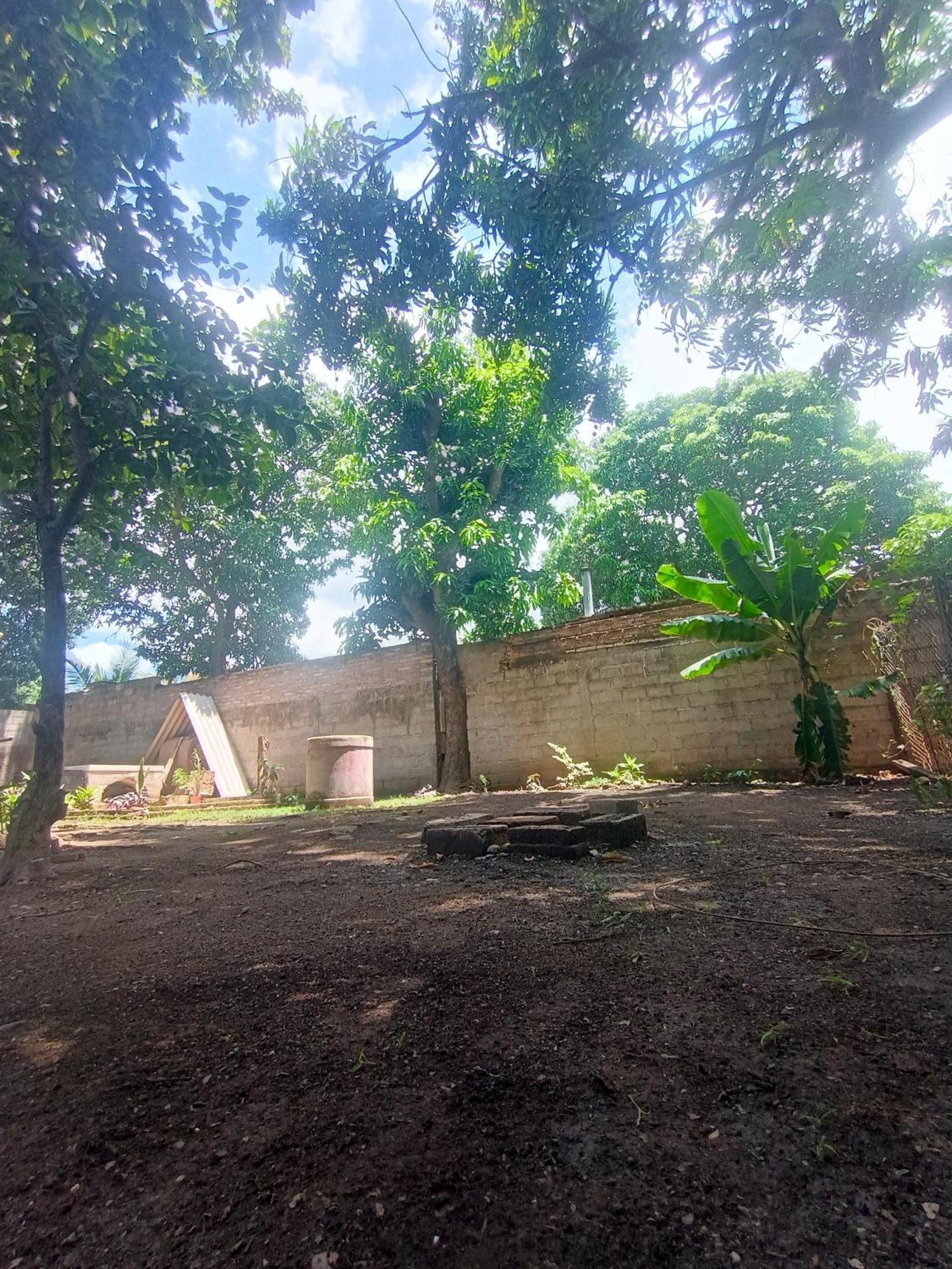 Entre Mangos Y Tucanes Calilegua エクステリア 写真
